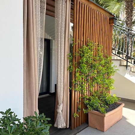 Apartments Residence Radovan 1 ポレッチ エクステリア 写真